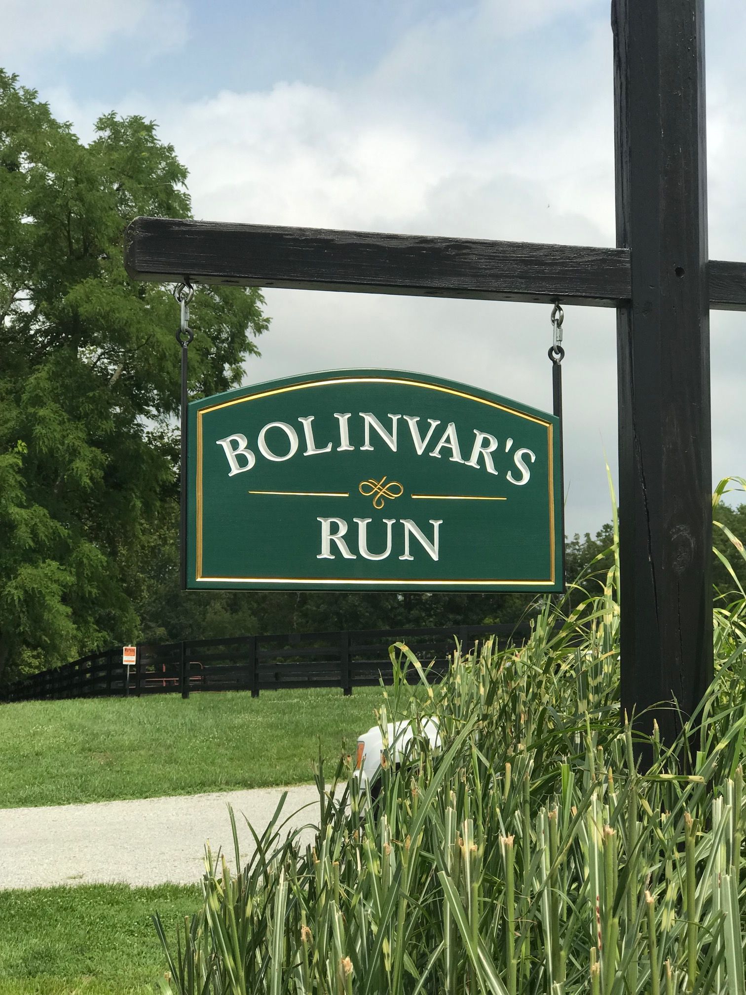 Bolinvars Run