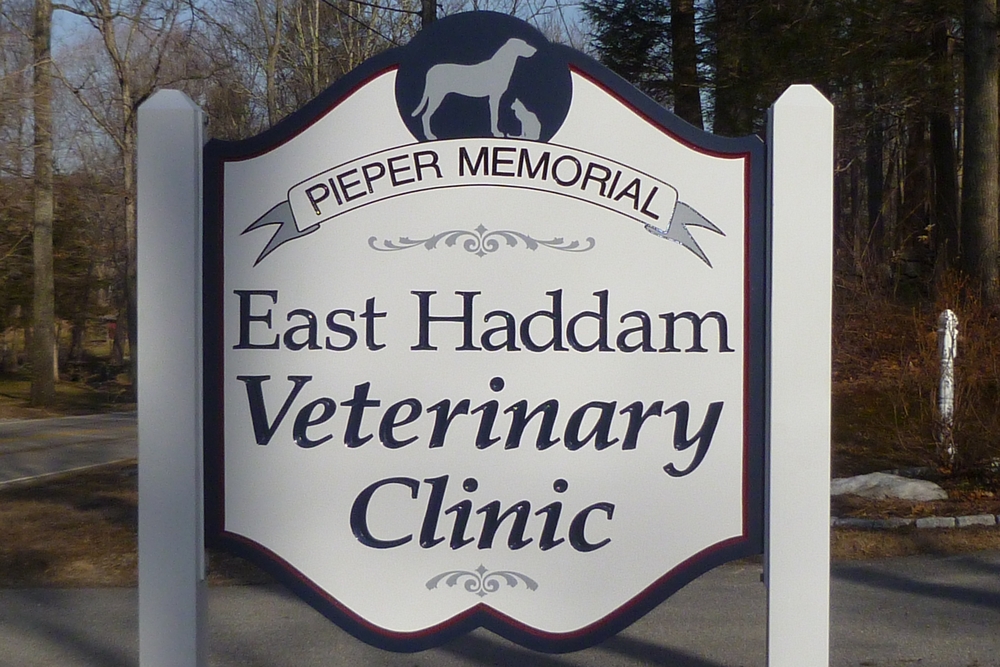 East Haddam Vet