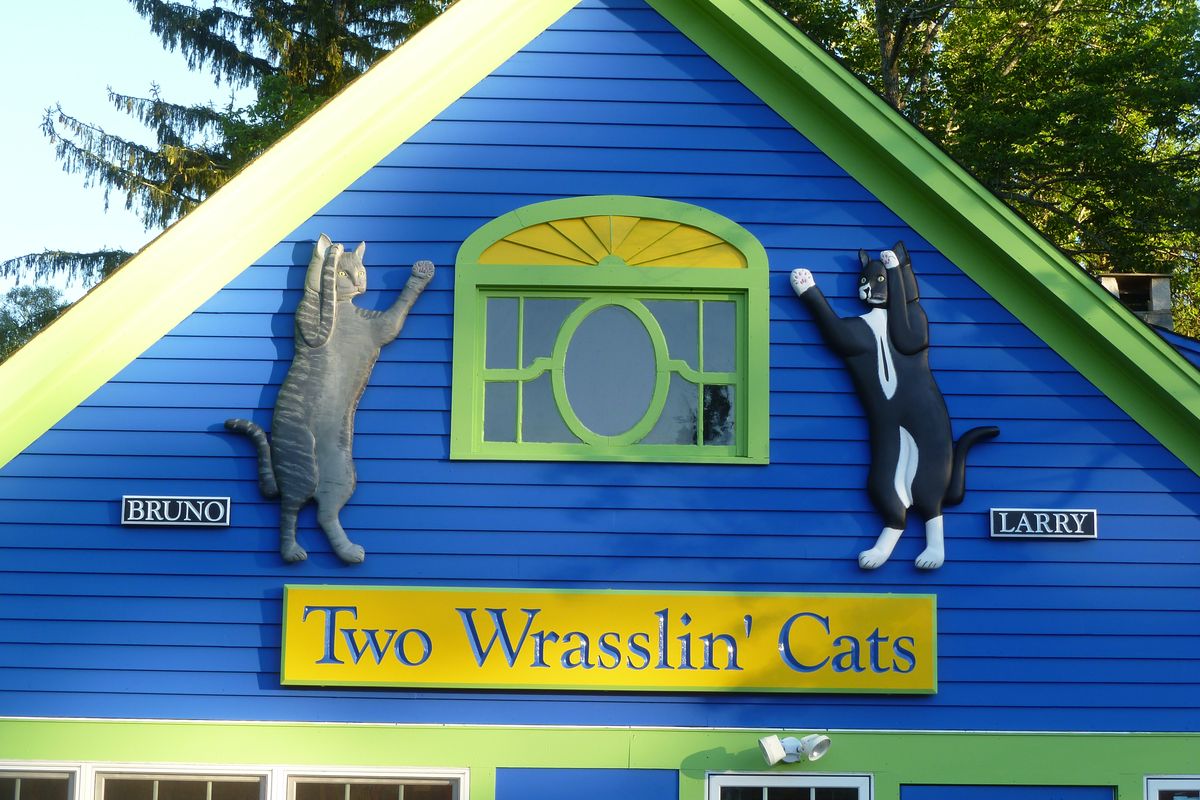 Two Wrasslin Cats